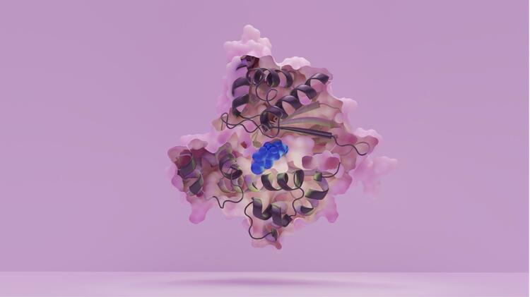 3D model of the molecular structure of the pathoblocker HilD